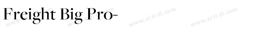Freight Big Pro字体转换